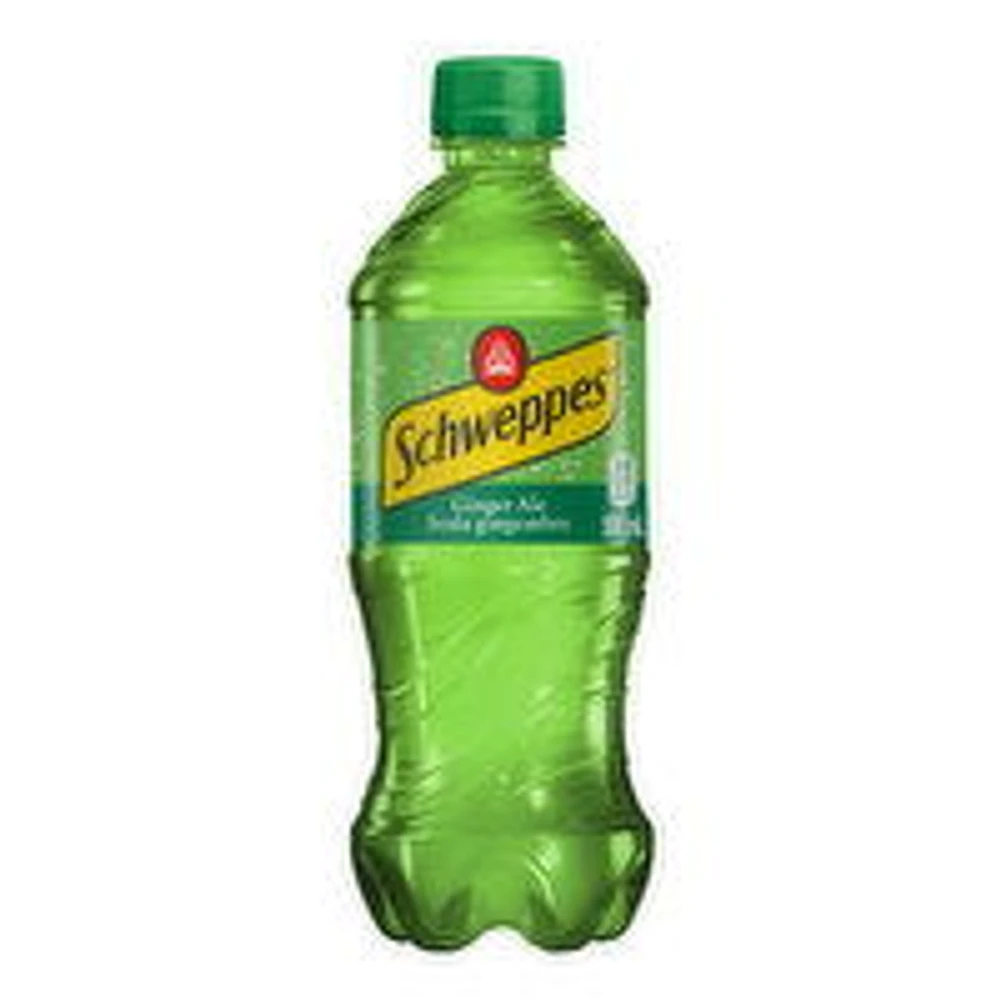 Schweppes - Ginger Ale, 591 Millilitre