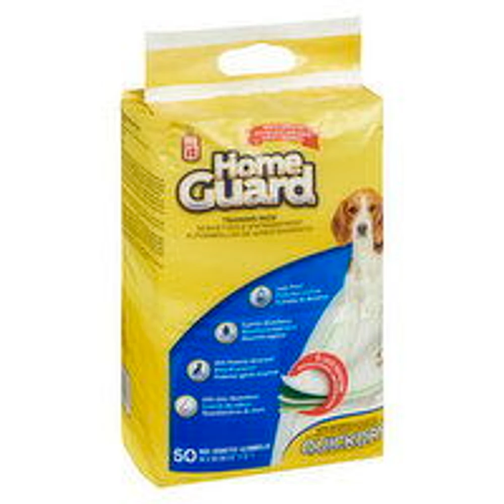 Dog It - Dog Training Pads, 1 Each