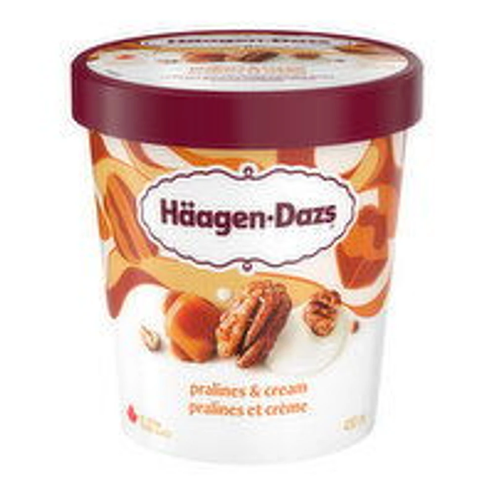 Haagen-Dazs - Pralines & Cream Ice Cream, 450 Millilitre