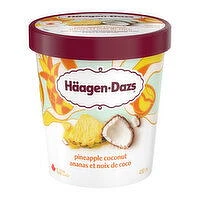 Haagen-Dazs - Pineapple Coconut Ice Cream, 450 Millilitre