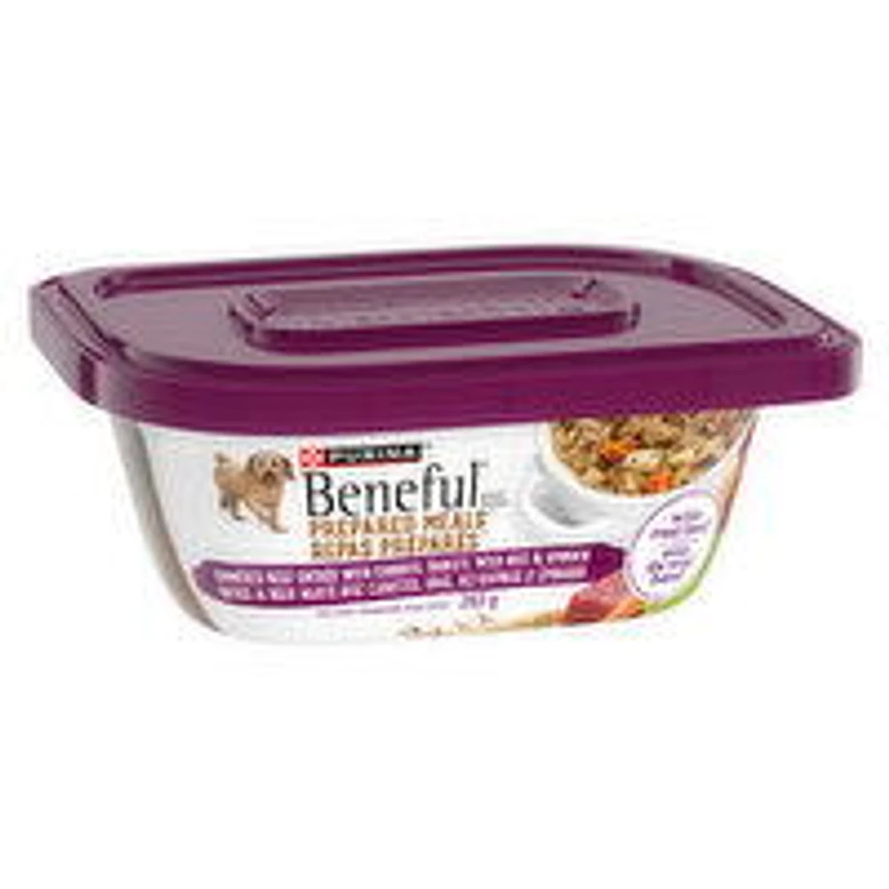Purina Beneful - Prepared Meals Simmered Beef Flavour, Wet Dog Food, 283 Gram