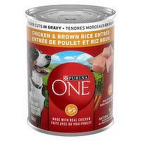 Purina - One Tender Cuts in Gravy Chicken & Brown Rice Entree,  Wet Dog Food, 368 Gram