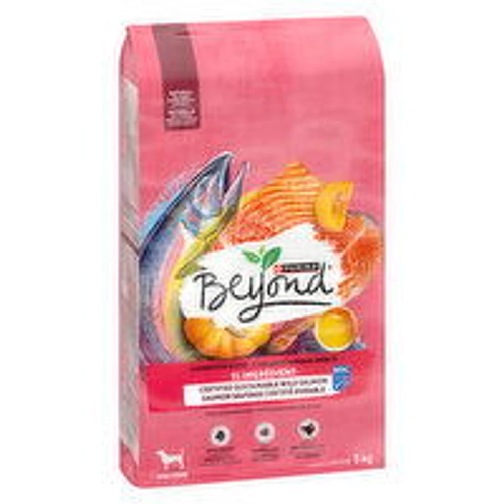 Purina - Super Food Blend Dry Dog Salm, 5 Kilogram