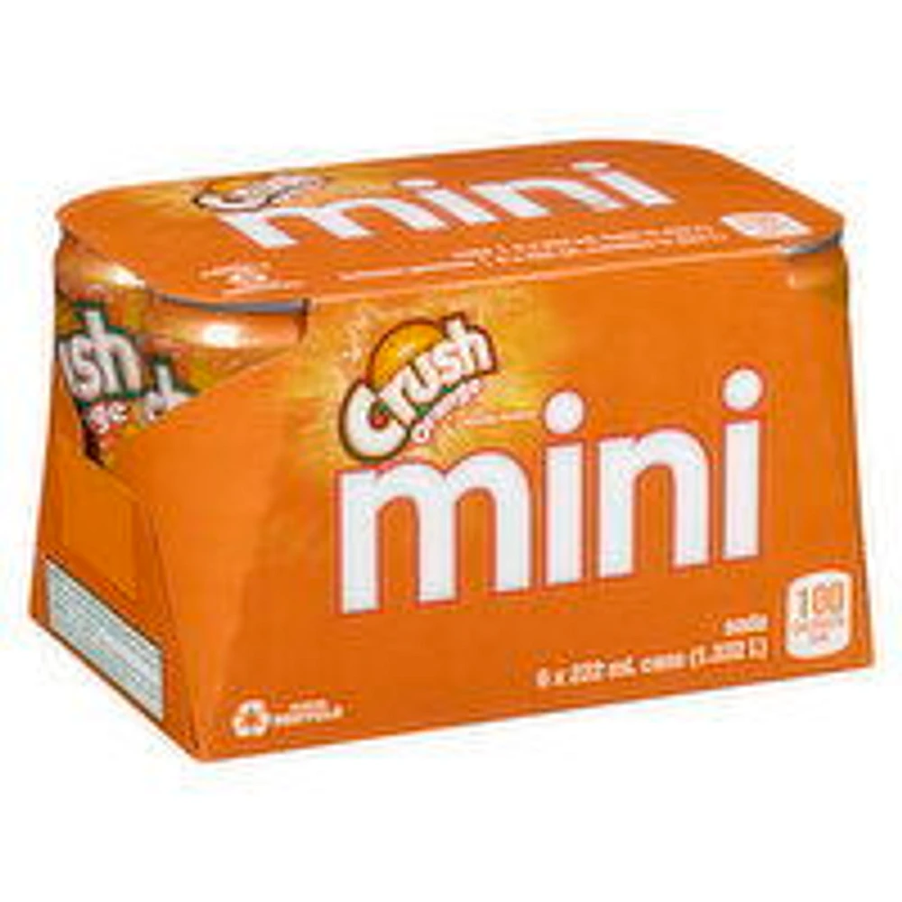 Crush - Orange, Mini Cans 22mL, 6 Each