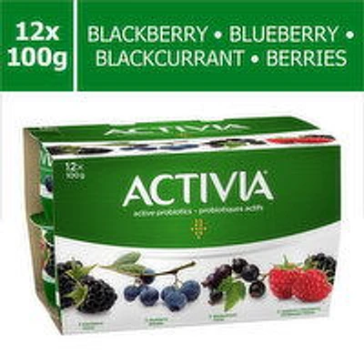 Activia - Probiotic Yogurt 2.9% M.F - Assorted, 100 Gram