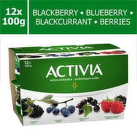 Activia - Probiotic Yogurt 2.9% M.F - Assorted, 100 Gram