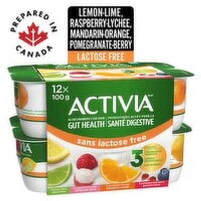 Activia - Yogurt Lactose Free 2.8% M.F - Assorted, 12 Each