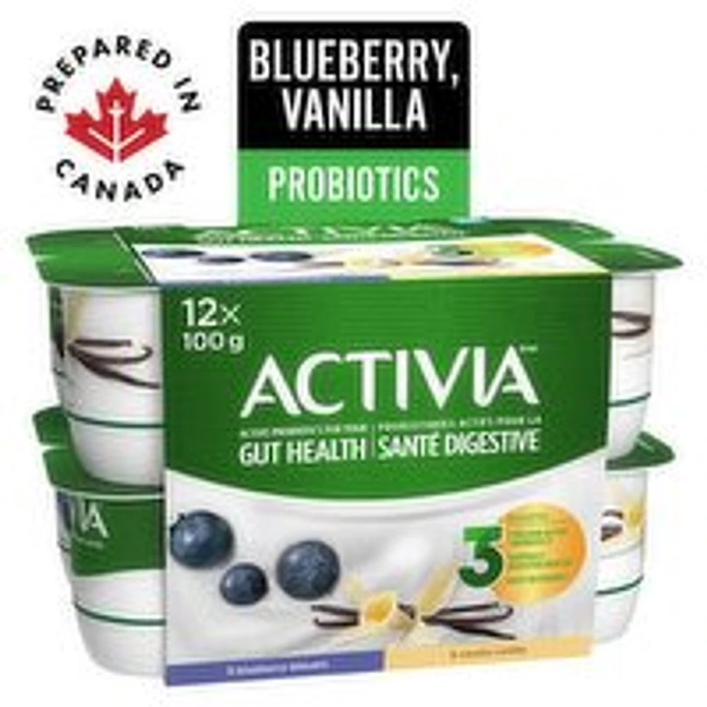 Activia - Probiotic Yogurt - Blueberry/Vanilla, 12 Each