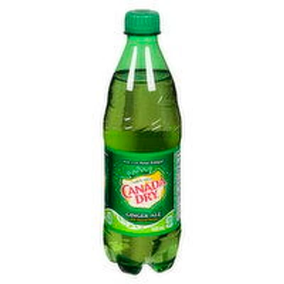 Canada Dry - Gingerale, 500 Millilitre