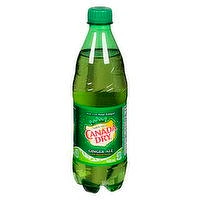 Canada Dry - Gingerale, 500 Millilitre