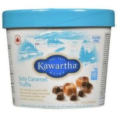Kawartha Dairy - Salty Caramel Truffle Ice Cream, 1.5 Litre