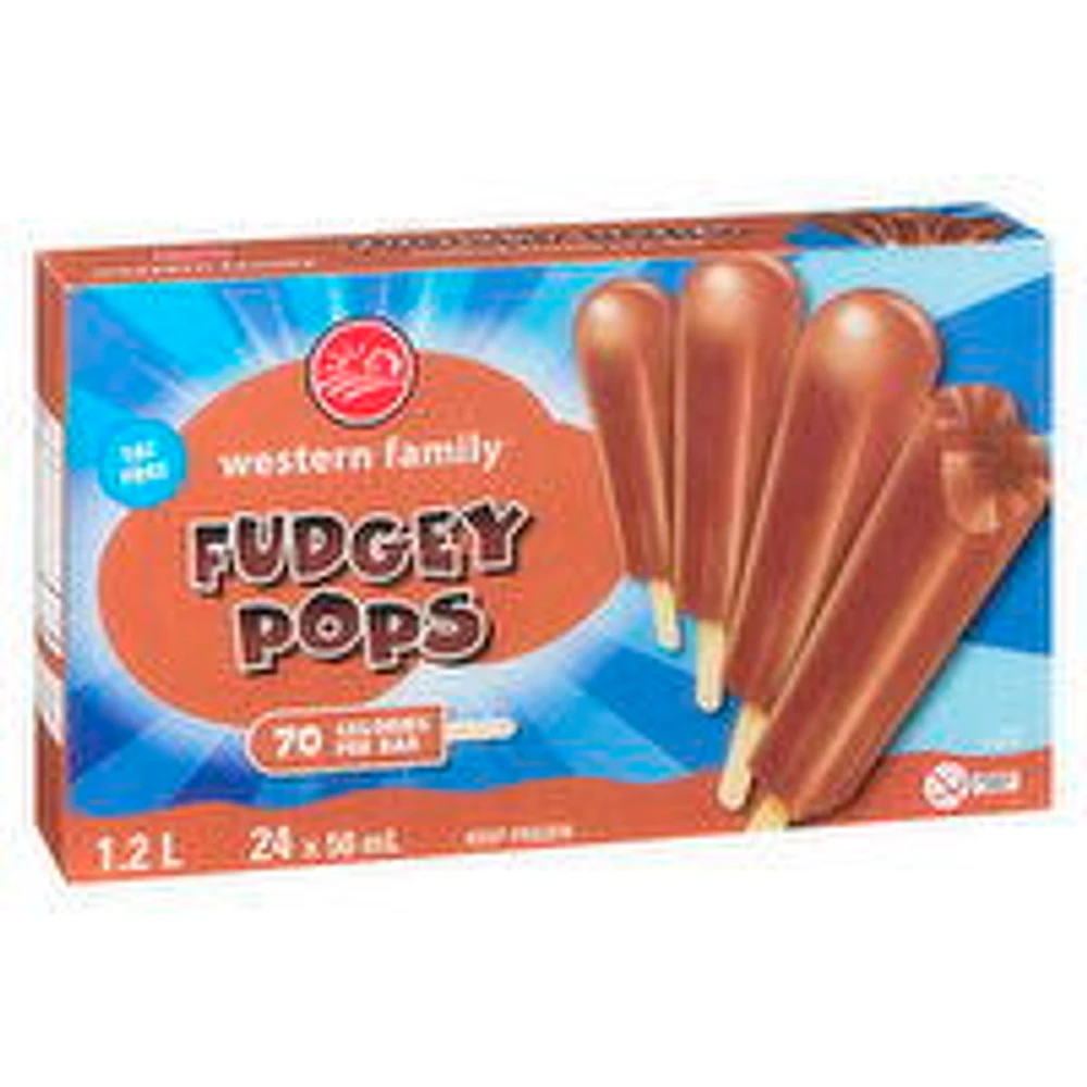 Western Family - Jr Fudge Pops, 24 Each