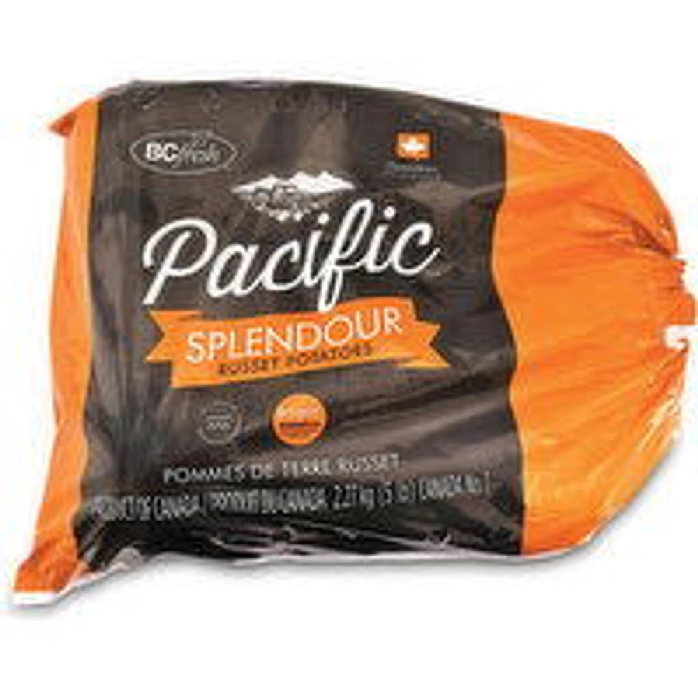 Potatoes - Russet, 5lb Bag, 1 Each