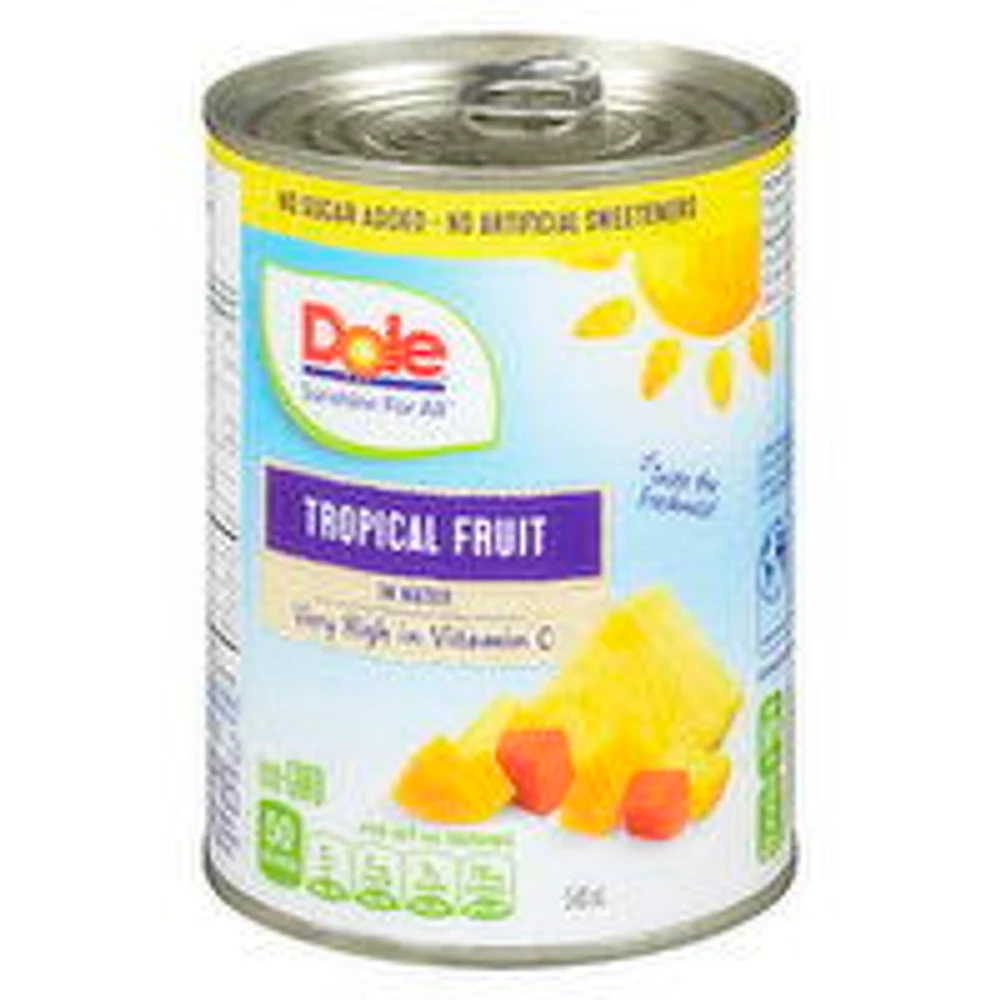Dole - Tropical Fruit Salad, 540 Millilitre