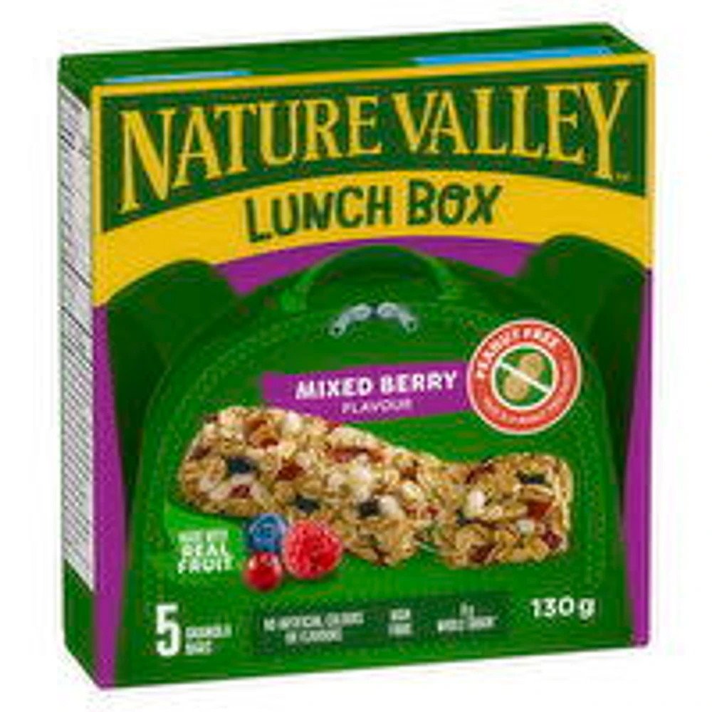 Nature Valley - NV Granola Bar Lunch Box Mixed Berry, 5 Each
