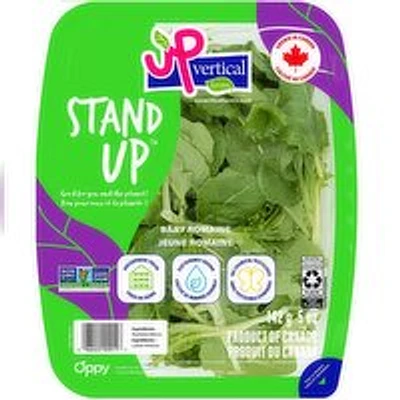 Up Vertical - Stand Up Baby Romaine, 142 Gram