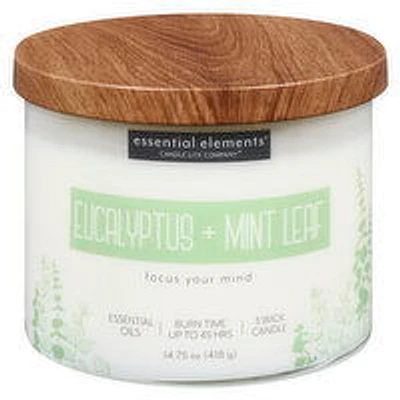 Candle-Lite - Candle it Eucalyptus & Mint Leaf Jr 14., 418 Gram
