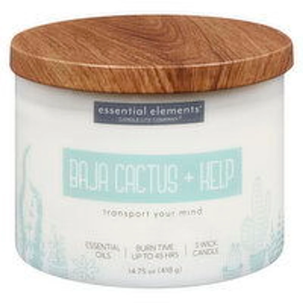 Candle-Lite - Baja Cactus & Kelp Candle Jar, 1 Each