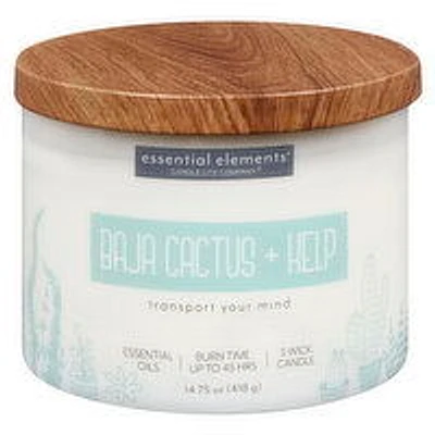 Candle-Lite - Baja Cactus & Kelp Candle Jar, 1 Each