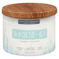 Candle-Lite - Baja Cactus & Kelp Candle Jar, 1 Each