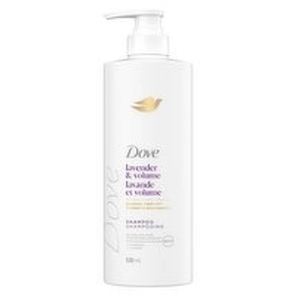 Dove - Damage Therapy Lavender & Volume Shampoo, 530 Millilitre