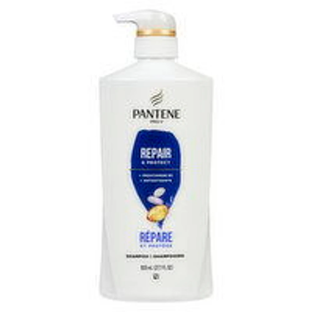PANTENE - Repair & Protect Shampoo, 820 Millilitre