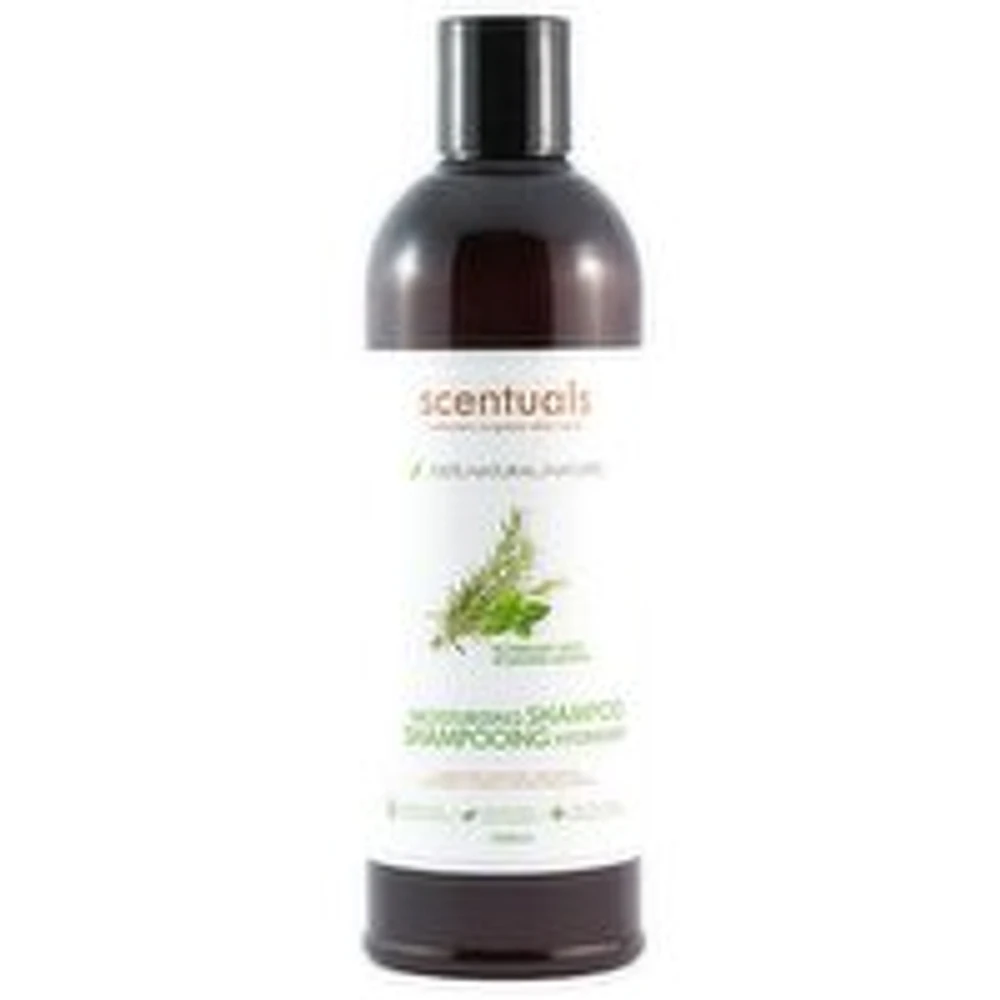 Scentuals - Moisturizing Shampoo - Rosemary Mint, 500 Millilitre