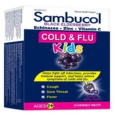 Sambucol - Kids Cold & Flu, Black Elderberry, 24 Each