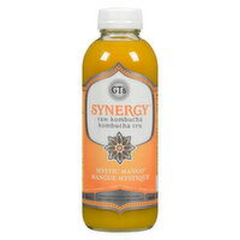 GT's - Synergy Raw Kombucha Mystic Mango, 480 Millilitre