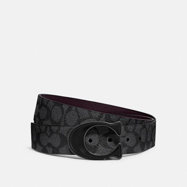 Louis Vuitton Belts For Mens  Mn