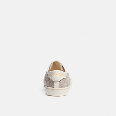 Citysole Skate Sneaker