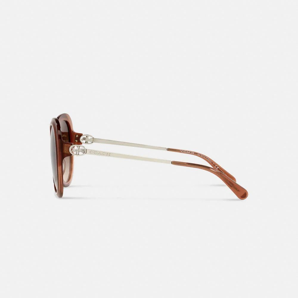 Horse And Carriage Hinged Sunglasses