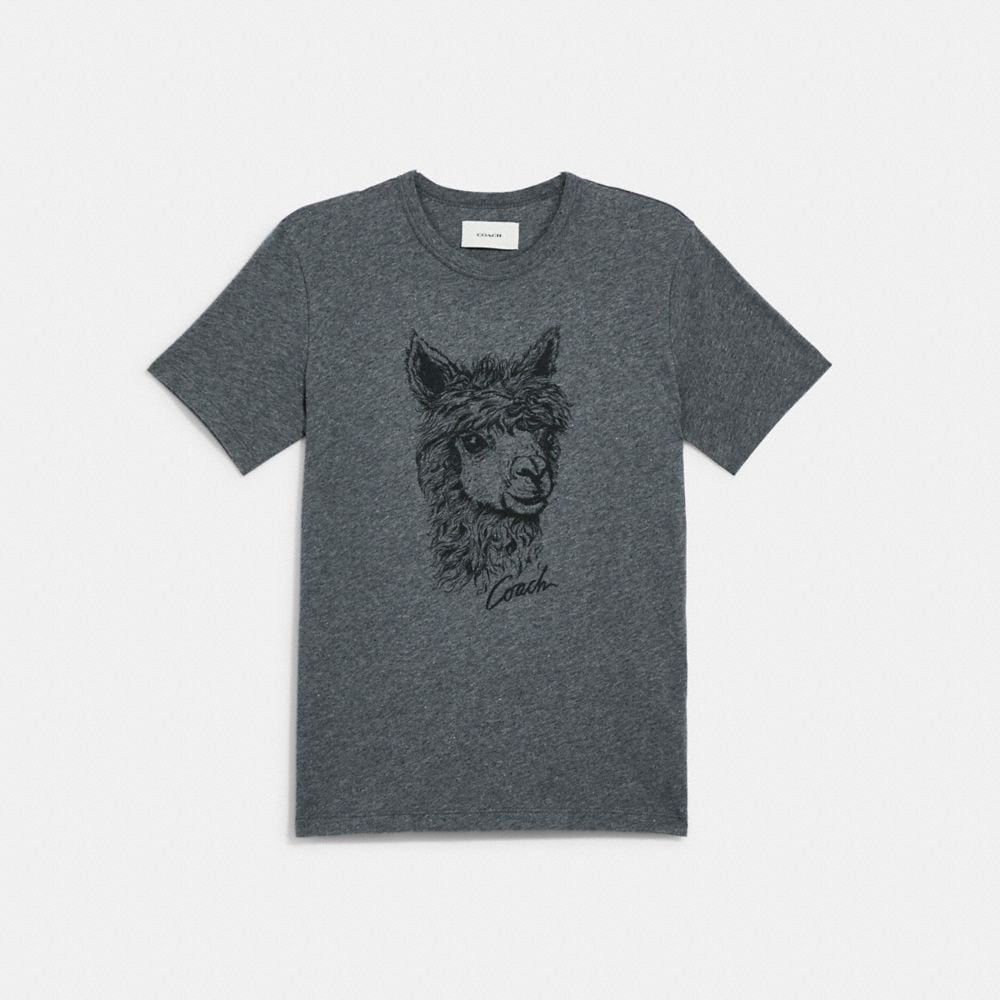 Alpaca Graphic T Shirt