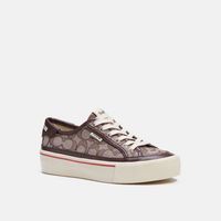 Citysole Platform Sneaker