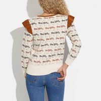 Ruffle Sweater