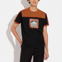 Colorblock Crewneck T Shirt Organic Cotton