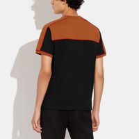 Colorblock Crewneck T Shirt Organic Cotton