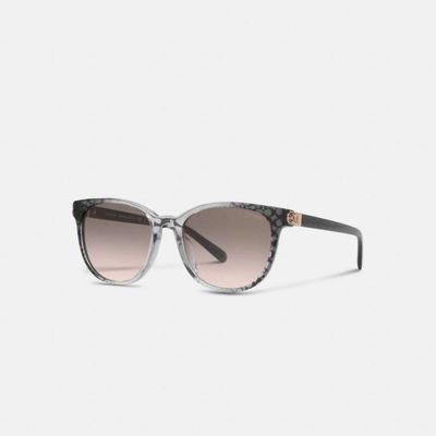 Horse And Carriage Round Sunglasses