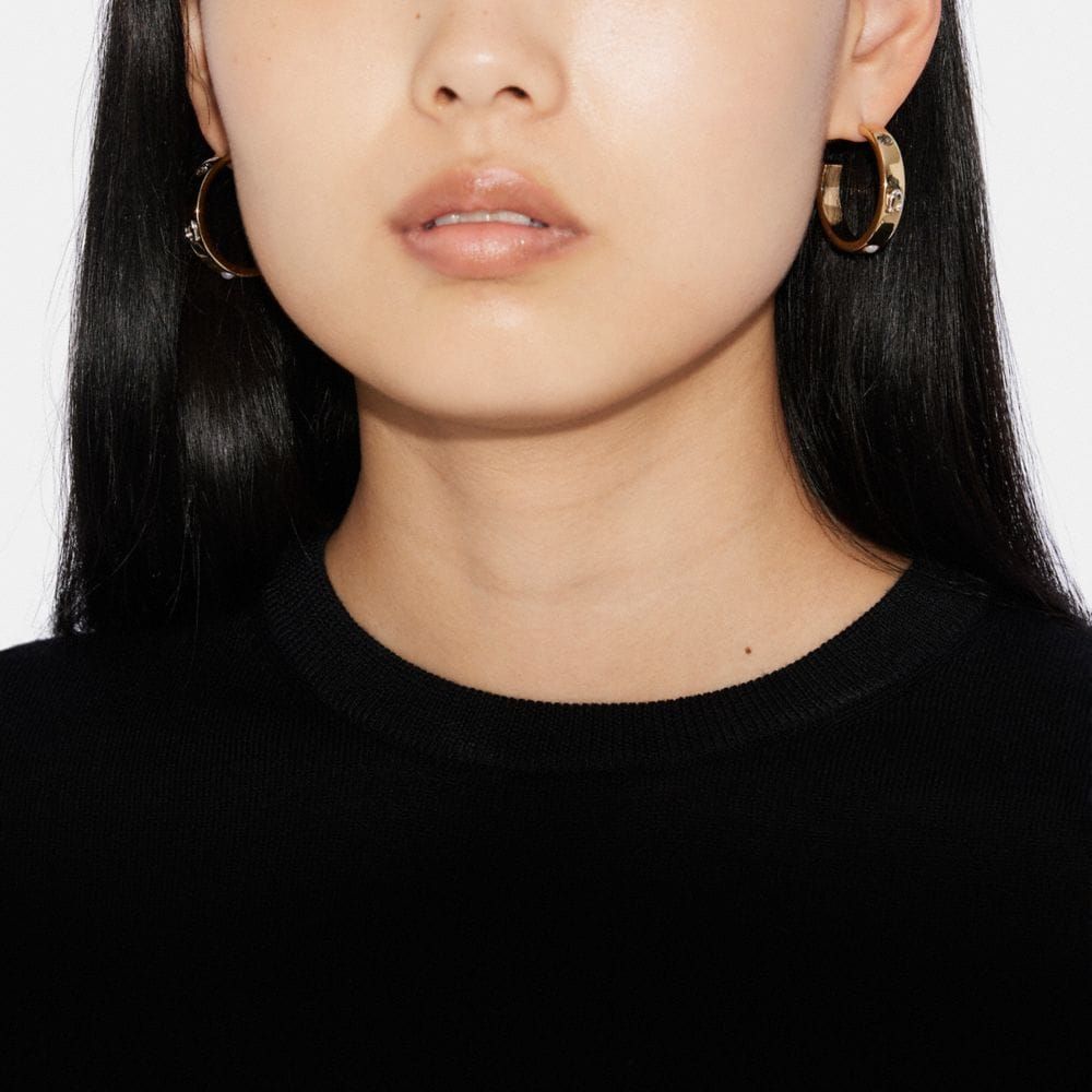 Pegged Signature And Stone Hoop Earrings