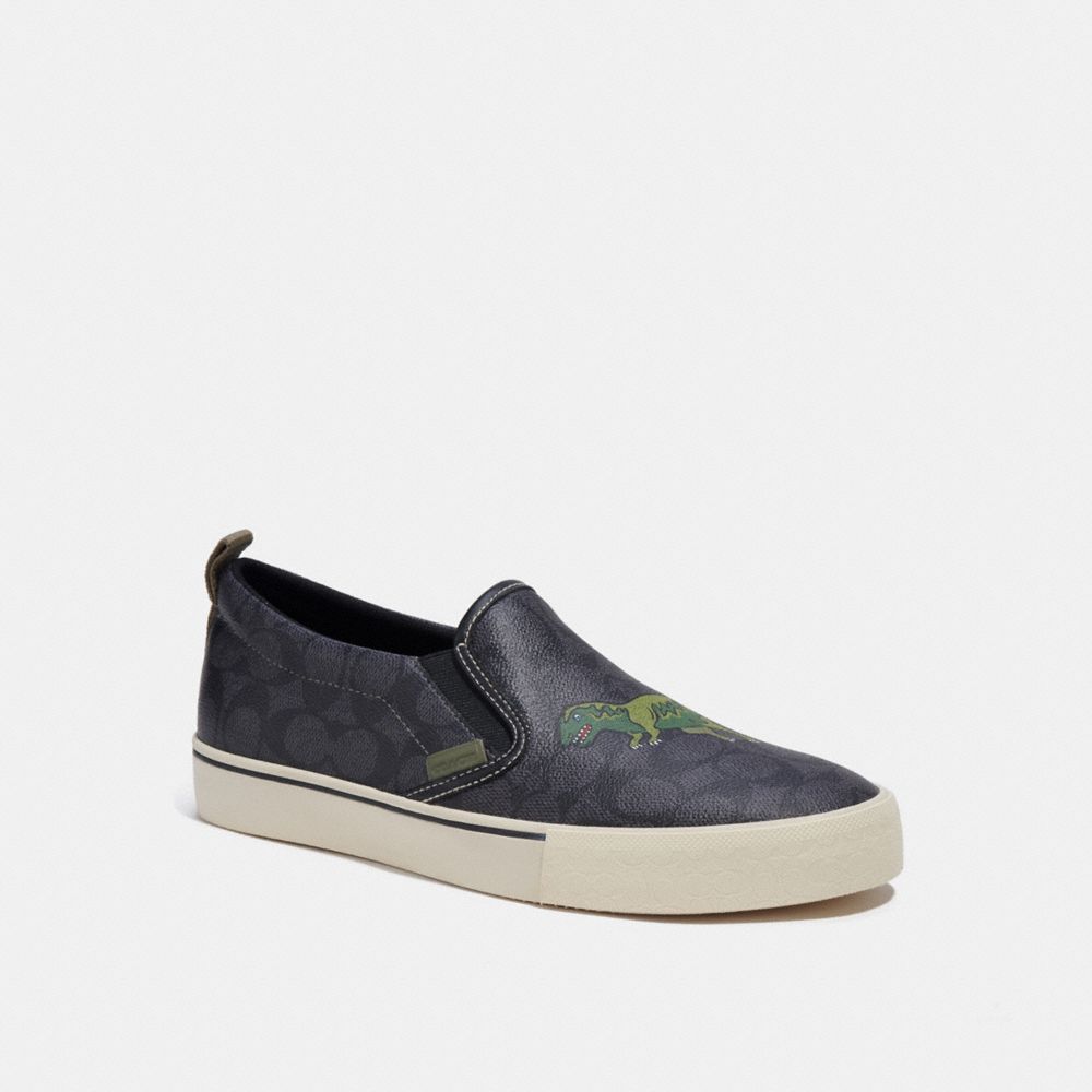 Skate Slip On Sneaker Signature Canvas With Rexy