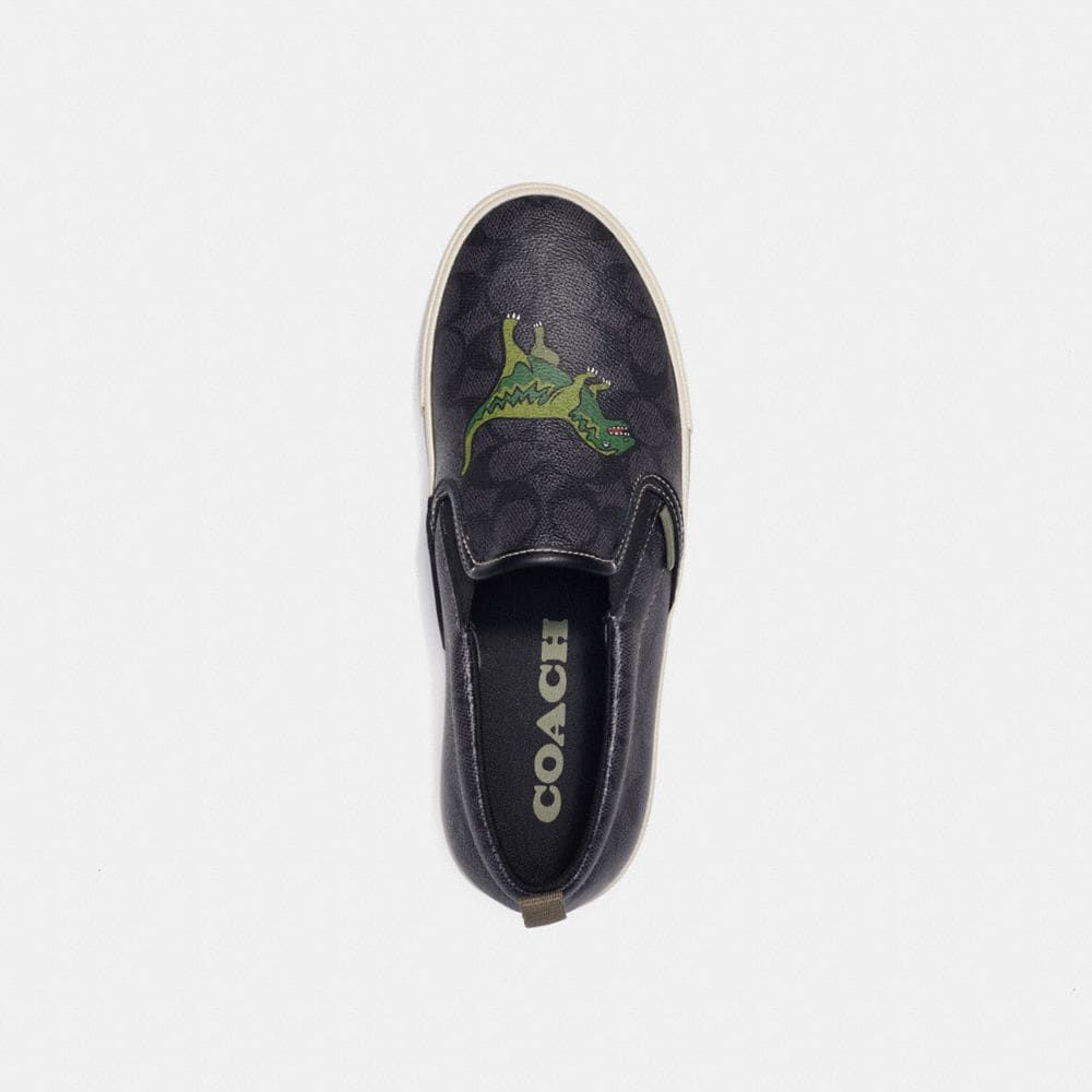 Skate Slip On Sneaker Signature Canvas With Rexy