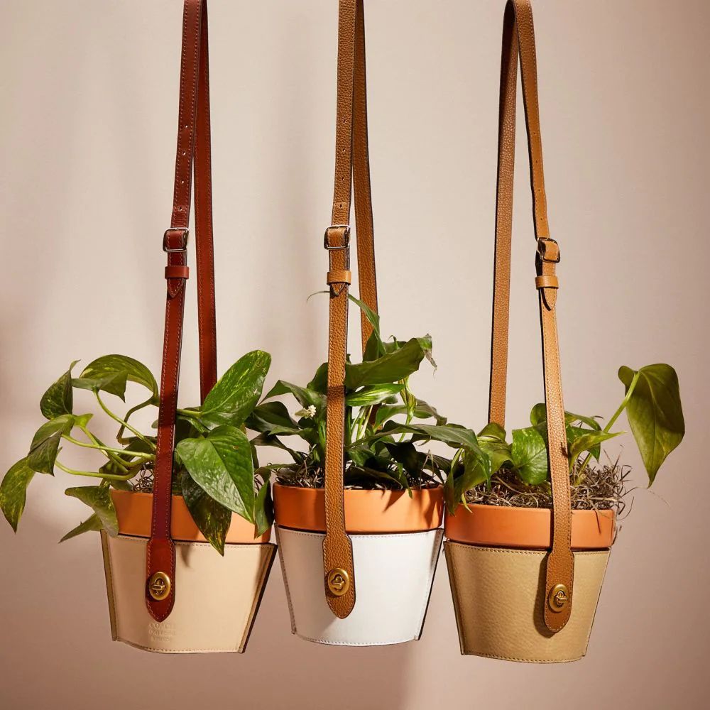 Remade Hanging Plant Pot Holder