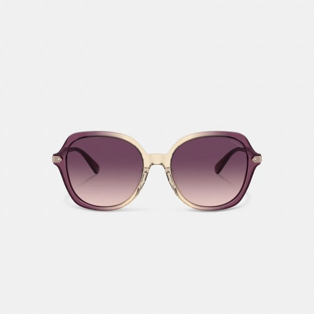 Wrap Around Hangtag Oversized Geometric Round Sunglasses