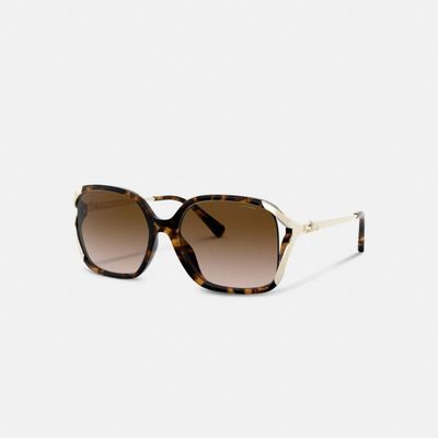 Oversized Horse And Carriage Sunglasses