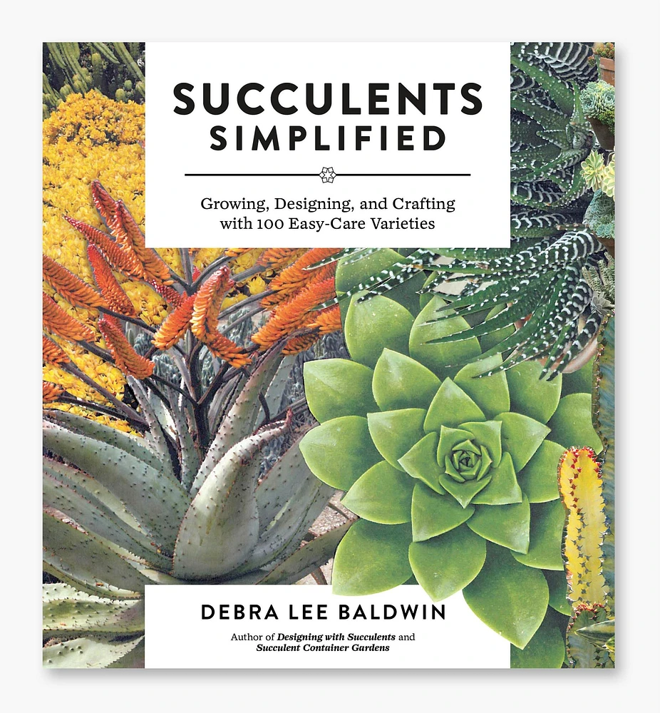 Succulents Simplified