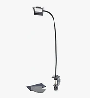 Camera Lucida