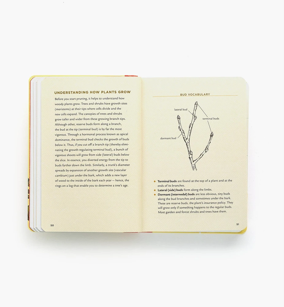 Pruning Answer Book