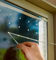 Feather Friendly Window Collision Tape