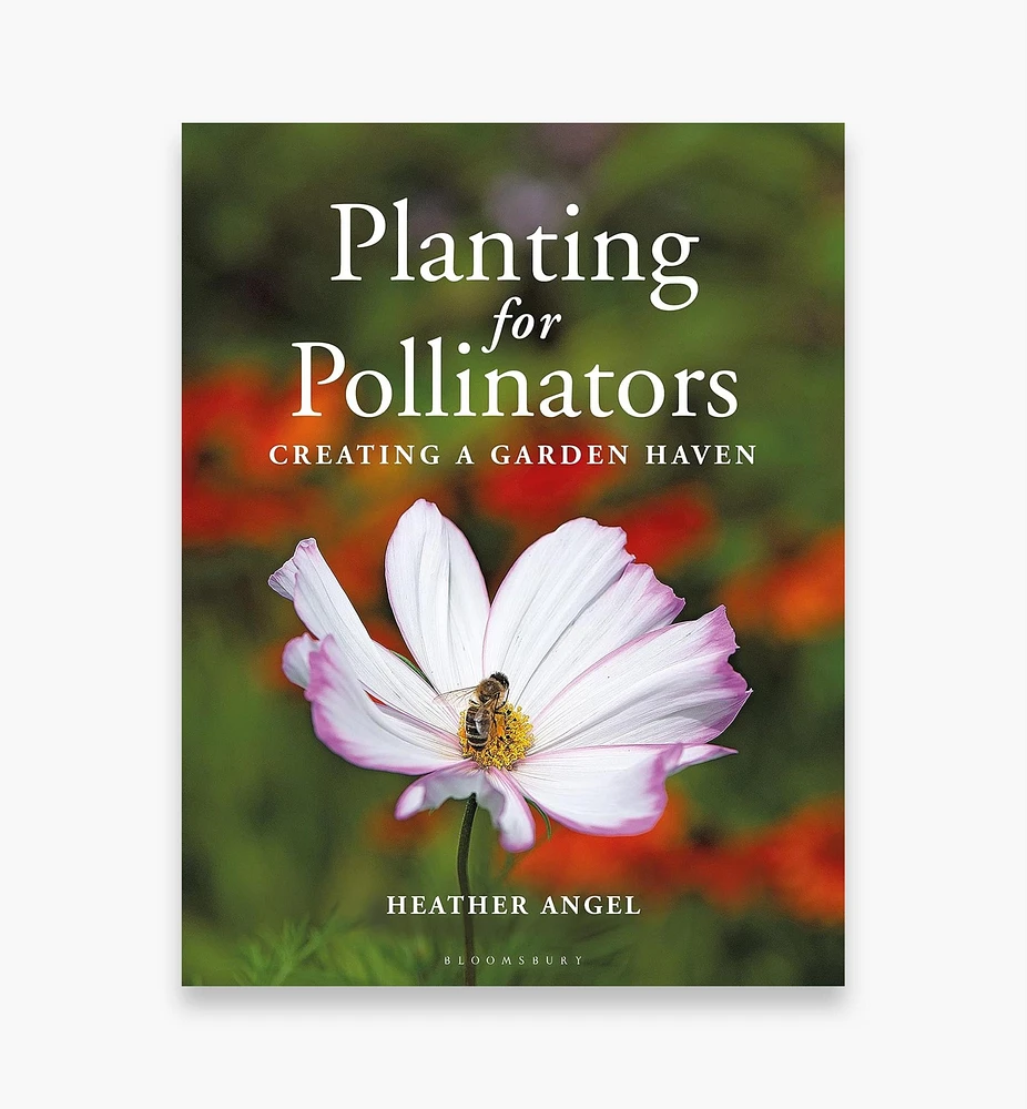Planting for Pollinators