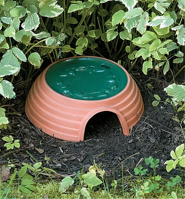 Lee Valley Toad House